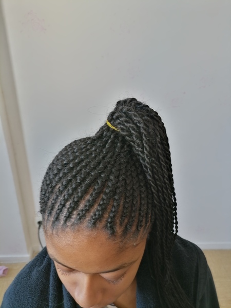 salon de coiffure afro tresse tresses box braids crochet braids vanilles tissages paris 75 77 78 91 92 93 94 95 JIGLYJSJ