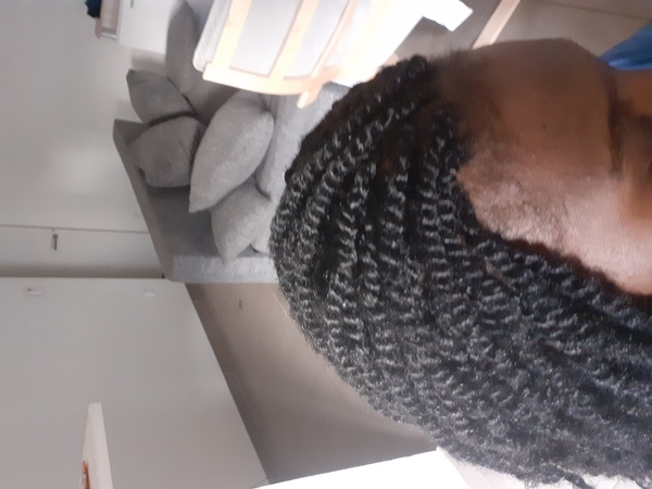 salon de coiffure afro tresse tresses box braids crochet braids vanilles tissages paris 75 77 78 91 92 93 94 95 ELDLYYNP