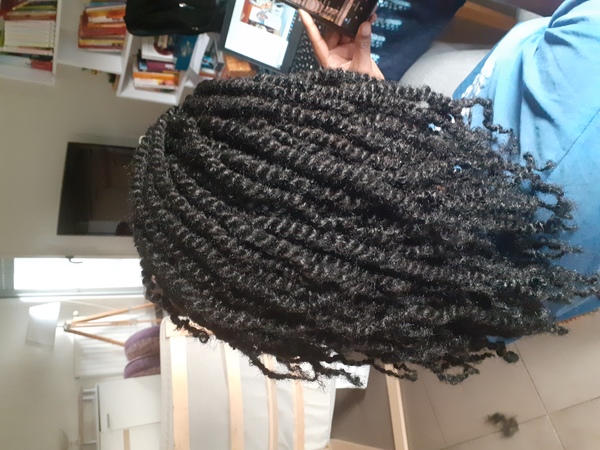 salon de coiffure afro tresse tresses box braids crochet braids vanilles tissages paris 75 77 78 91 92 93 94 95 ZBTRVJNY