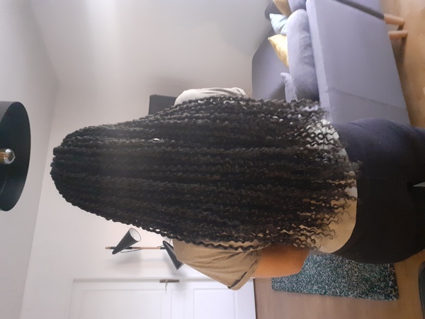 salon de coiffure afro tresse tresses box braids crochet braids vanilles tissages paris 75 77 78 91 92 93 94 95 VYTUBHPF