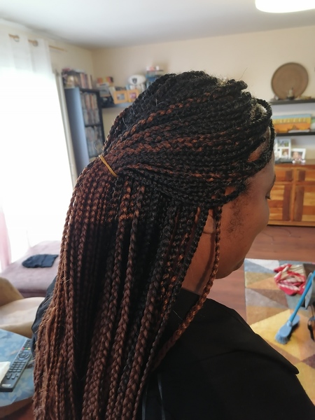 salon de coiffure afro tresse tresses box braids crochet braids vanilles tissages paris 75 77 78 91 92 93 94 95 UYSVRYFC