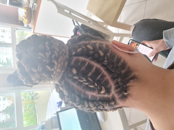 salon de coiffure afro tresse tresses box braids crochet braids vanilles tissages paris 75 77 78 91 92 93 94 95 KIHIEPQX
