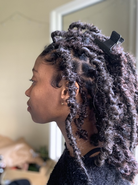 salon de coiffure afro tresse tresses box braids crochet braids vanilles tissages paris 75 77 78 91 92 93 94 95 NHZVJDBW