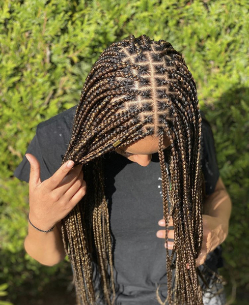 salon de coiffure afro tresse tresses box braids crochet braids vanilles tissages paris 75 77 78 91 92 93 94 95 ZVALCKUS