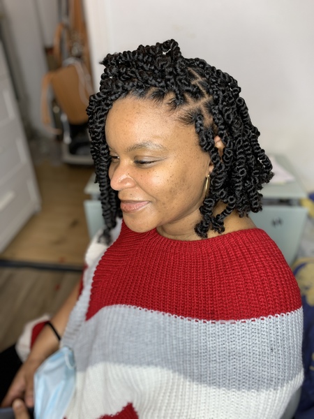 salon de coiffure afro tresse tresses box braids crochet braids vanilles tissages paris 75 77 78 91 92 93 94 95 GBJCRWSE