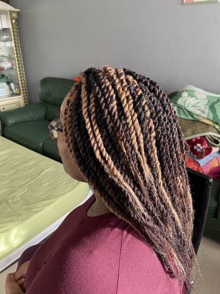 salon de coiffure afro tresse tresses box braids crochet braids vanilles tissages paris 75 77 78 91 92 93 94 95 LDTEFKJB