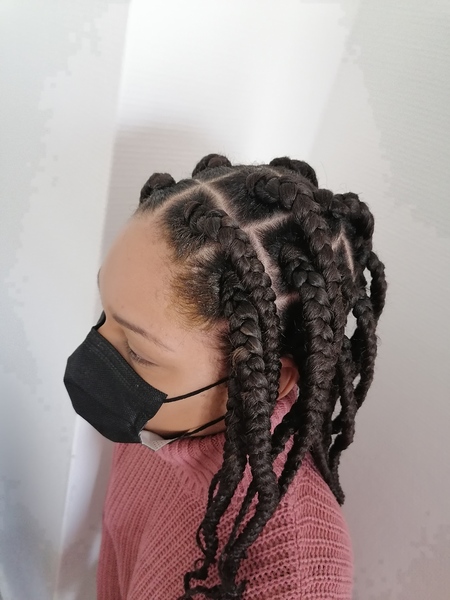 salon de coiffure afro tresse tresses box braids crochet braids vanilles tissages paris 75 77 78 91 92 93 94 95 BBZVWQNH