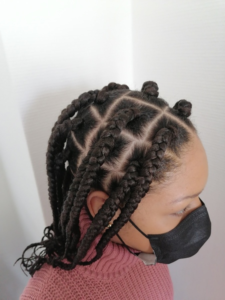 salon de coiffure afro tresse tresses box braids crochet braids vanilles tissages paris 75 77 78 91 92 93 94 95 KIWMJFPG