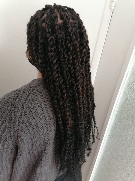 salon de coiffure afro tresse tresses box braids crochet braids vanilles tissages paris 75 77 78 91 92 93 94 95 EGSWSZVS