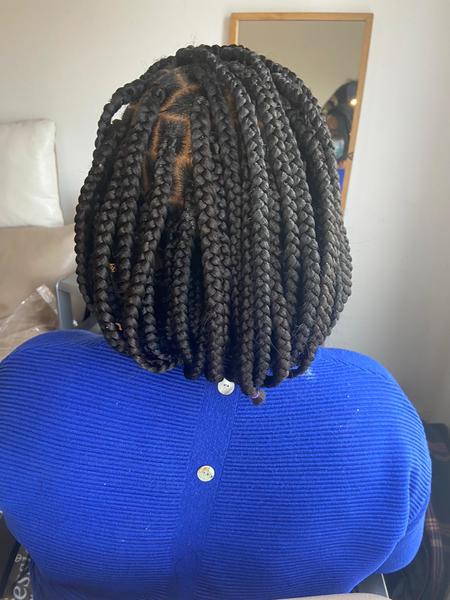 salon de coiffure afro tresse tresses box braids crochet braids vanilles tissages paris 75 77 78 91 92 93 94 95 TGURTZQR
