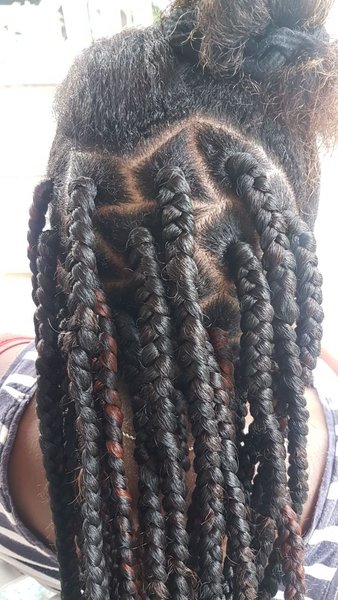 salon de coiffure afro tresse tresses box braids crochet braids vanilles tissages paris 75 77 78 91 92 93 94 95 NBFLRFWR