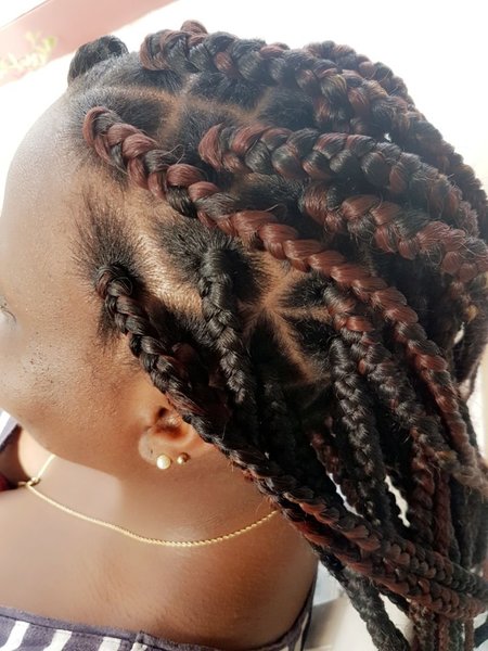 salon de coiffure afro tresse tresses box braids crochet braids vanilles tissages paris 75 77 78 91 92 93 94 95 HSSLZAOG