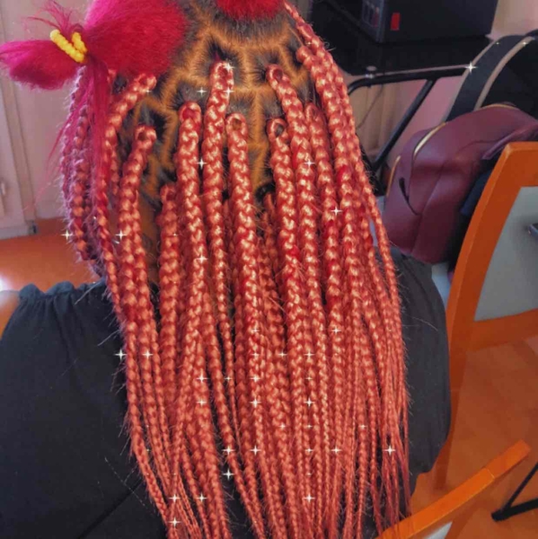 salon de coiffure afro tresse tresses box braids crochet braids vanilles tissages paris 75 77 78 91 92 93 94 95 MCANGUVB