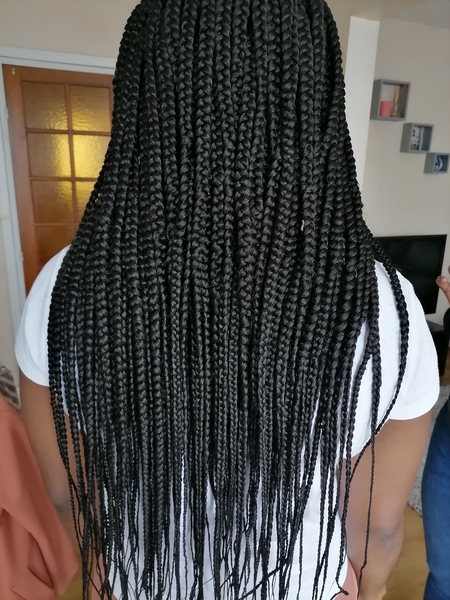 salon de coiffure afro tresse tresses box braids crochet braids vanilles tissages paris 75 77 78 91 92 93 94 95 BIIKDAZH