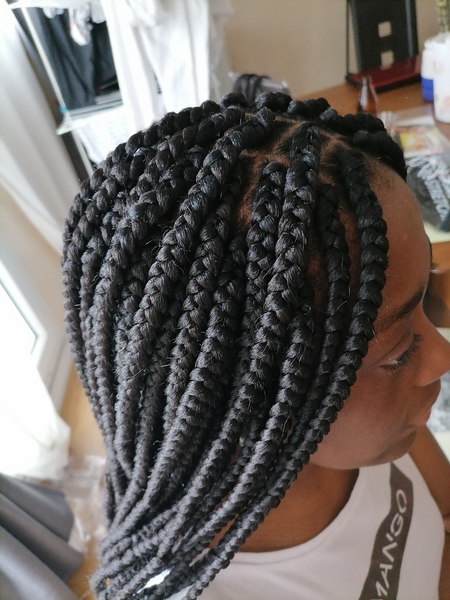 salon de coiffure afro tresse tresses box braids crochet braids vanilles tissages paris 75 77 78 91 92 93 94 95 DXHVBRNN