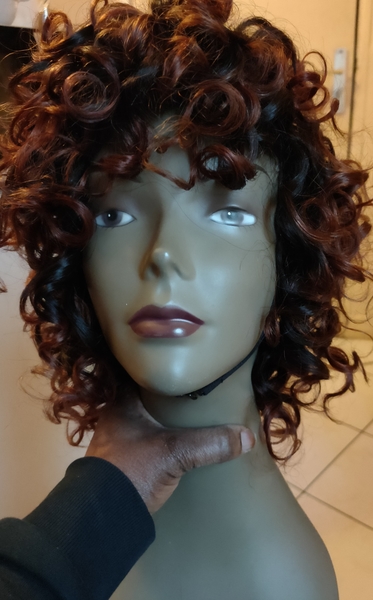 salon de coiffure afro tresse tresses box braids crochet braids vanilles tissages paris 75 77 78 91 92 93 94 95 GYVSWYGM