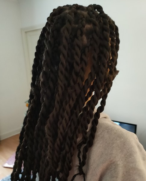 salon de coiffure afro tresse tresses box braids crochet braids vanilles tissages paris 75 77 78 91 92 93 94 95 WLSFWRXD