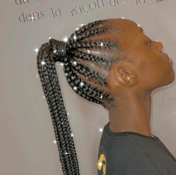 salon de coiffure afro tresse tresses box braids crochet braids vanilles tissages paris 75 77 78 91 92 93 94 95 BSTFJGEW