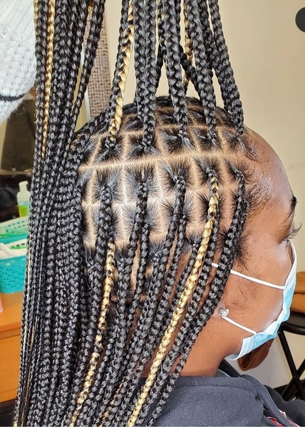 salon de coiffure afro tresse tresses box braids crochet braids vanilles tissages paris 75 77 78 91 92 93 94 95 RPIIWAFI
