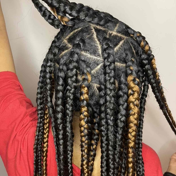 salon de coiffure afro tresse tresses box braids crochet braids vanilles tissages paris 75 77 78 91 92 93 94 95 FDUZYNIF