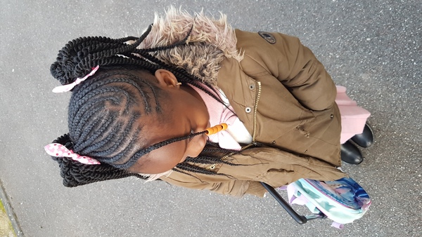 salon de coiffure afro tresse tresses box braids crochet braids vanilles tissages paris 75 77 78 91 92 93 94 95 ASNZNMNI
