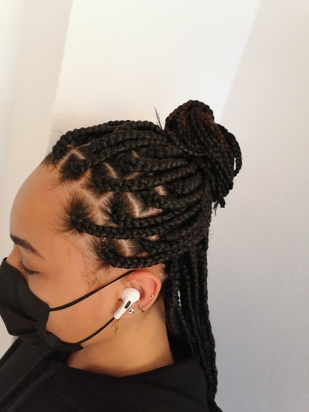 salon de coiffure afro tresse tresses box braids crochet braids vanilles tissages paris 75 77 78 91 92 93 94 95 LWYCCBXZ