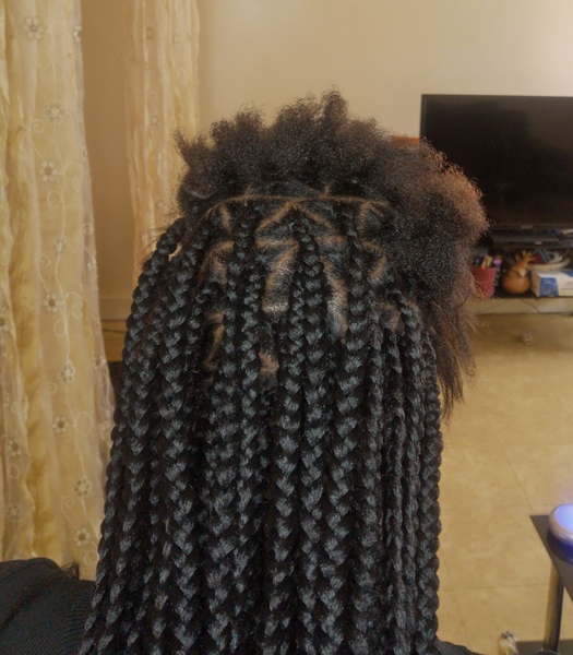 salon de coiffure afro tresse tresses box braids crochet braids vanilles tissages paris 75 77 78 91 92 93 94 95 ROZFLRRX