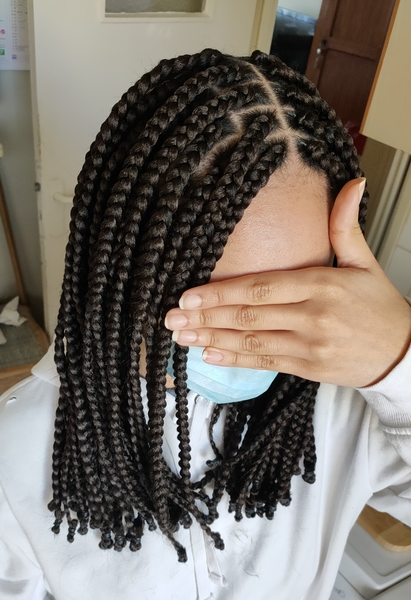 salon de coiffure afro tresse tresses box braids crochet braids vanilles tissages paris 75 77 78 91 92 93 94 95 USXZTPNP
