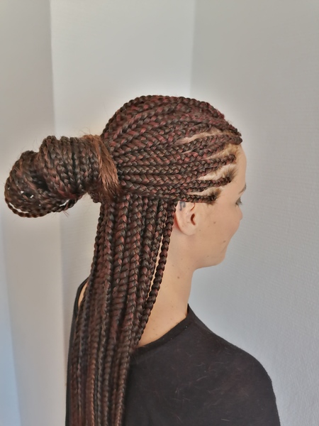 salon de coiffure afro tresse tresses box braids crochet braids vanilles tissages paris 75 77 78 91 92 93 94 95 BEWGLBGF