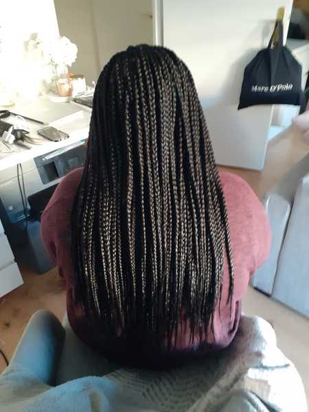 salon de coiffure afro tresse tresses box braids crochet braids vanilles tissages paris 75 77 78 91 92 93 94 95 SUZDVCAG