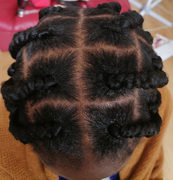 salon de coiffure afro tresse tresses box braids crochet braids vanilles tissages paris 75 77 78 91 92 93 94 95 UQWXOFCE