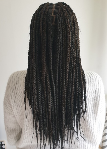 salon de coiffure afro tresse tresses box braids crochet braids vanilles tissages paris 75 77 78 91 92 93 94 95 NHBPTQVI