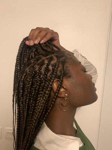 salon de coiffure afro tresse tresses box braids crochet braids vanilles tissages paris 75 77 78 91 92 93 94 95 KCURTUXQ