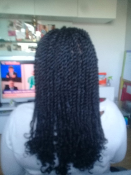 salon de coiffure afro tresse tresses box braids crochet braids vanilles tissages paris 75 77 78 91 92 93 94 95 ZOCEODAW
