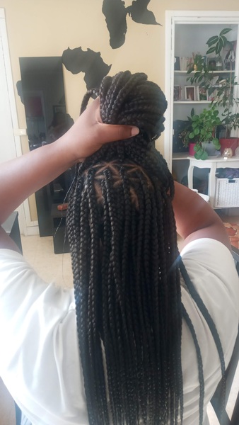 salon de coiffure afro tresse tresses box braids crochet braids vanilles tissages paris 75 77 78 91 92 93 94 95 TJLYPZDJ