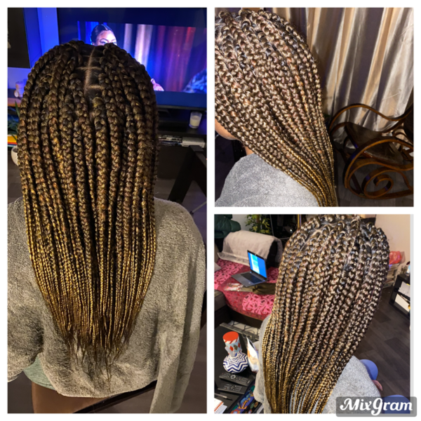 salon de coiffure afro tresse tresses box braids crochet braids vanilles tissages paris 75 77 78 91 92 93 94 95 TEHYASVA