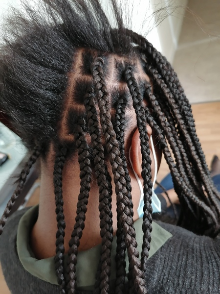 salon de coiffure afro tresse tresses box braids crochet braids vanilles tissages paris 75 77 78 91 92 93 94 95 TUIOUAZO