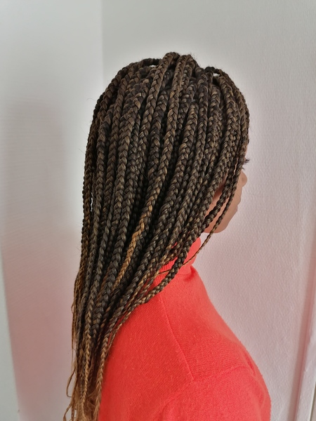 salon de coiffure afro tresse tresses box braids crochet braids vanilles tissages paris 75 77 78 91 92 93 94 95 HVFUKEPS