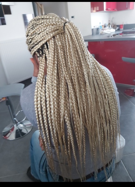 salon de coiffure afro tresse tresses box braids crochet braids vanilles tissages paris 75 77 78 91 92 93 94 95 DZEXIQIT