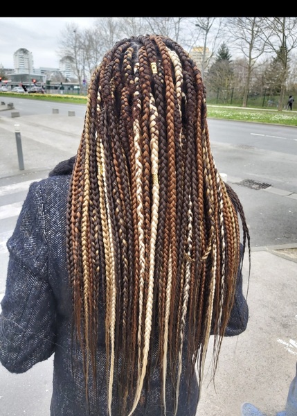salon de coiffure afro tresse tresses box braids crochet braids vanilles tissages paris 75 77 78 91 92 93 94 95 NPMGUNWA