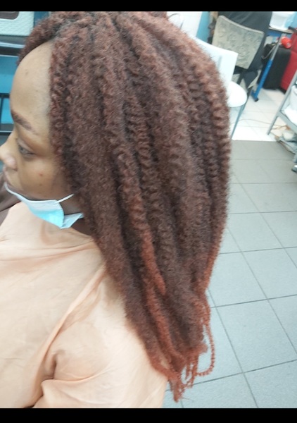 salon de coiffure afro tresse tresses box braids crochet braids vanilles tissages paris 75 77 78 91 92 93 94 95 OZWINRCD