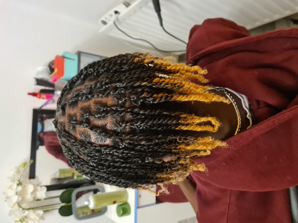 salon de coiffure afro tresse tresses box braids crochet braids vanilles tissages paris 75 77 78 91 92 93 94 95 MOMOZXKP