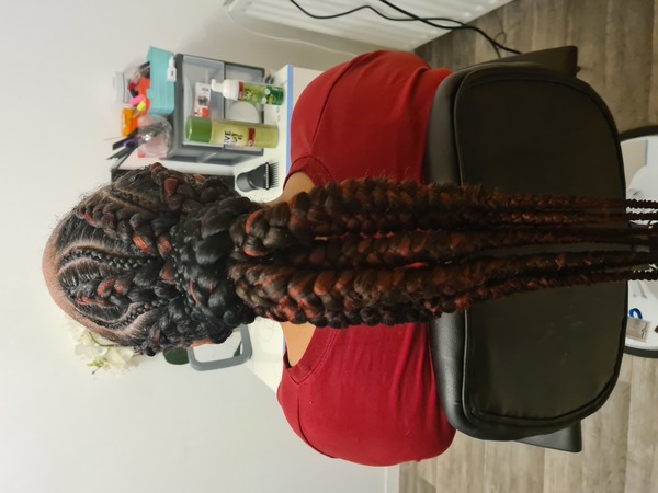 salon de coiffure afro tresse tresses box braids crochet braids vanilles tissages paris 75 77 78 91 92 93 94 95 UKHEZQKW