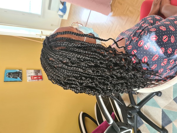 salon de coiffure afro tresse tresses box braids crochet braids vanilles tissages paris 75 77 78 91 92 93 94 95 DNIXCXSN