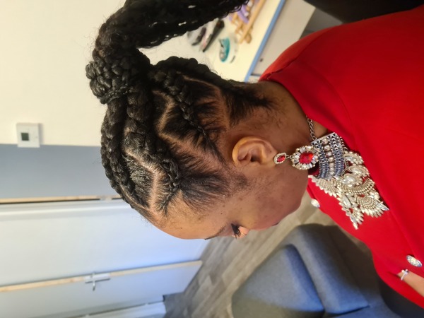 salon de coiffure afro tresse tresses box braids crochet braids vanilles tissages paris 75 77 78 91 92 93 94 95 AMMUVNWG