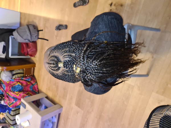 salon de coiffure afro tresse tresses box braids crochet braids vanilles tissages paris 75 77 78 91 92 93 94 95 IZUBZDQU