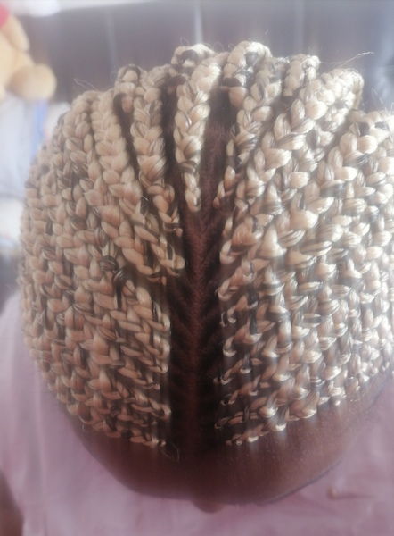 salon de coiffure afro tresse tresses box braids crochet braids vanilles tissages paris 75 77 78 91 92 93 94 95 NDSJZFTH