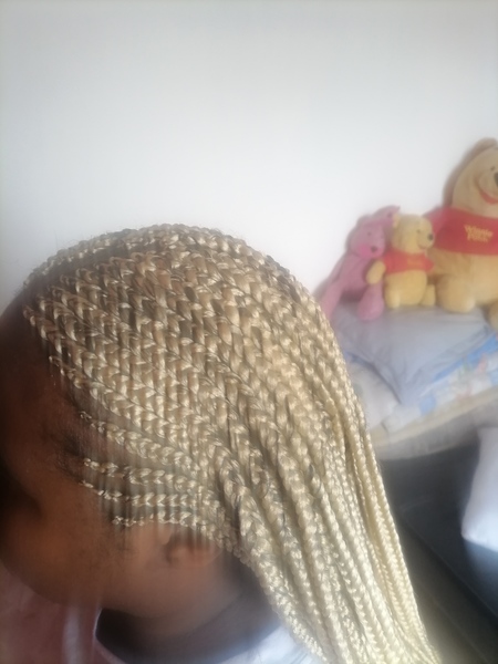 salon de coiffure afro tresse tresses box braids crochet braids vanilles tissages paris 75 77 78 91 92 93 94 95 HVMSBZGR