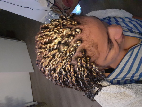 salon de coiffure afro tresse tresses box braids crochet braids vanilles tissages paris 75 77 78 91 92 93 94 95 OHCIWKRE