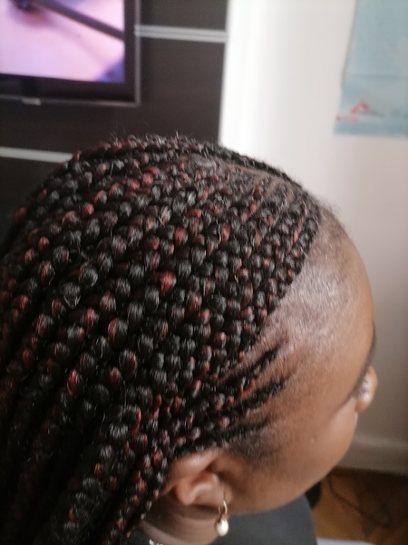 salon de coiffure afro tresse tresses box braids crochet braids vanilles tissages paris 75 77 78 91 92 93 94 95 QXERAJGM